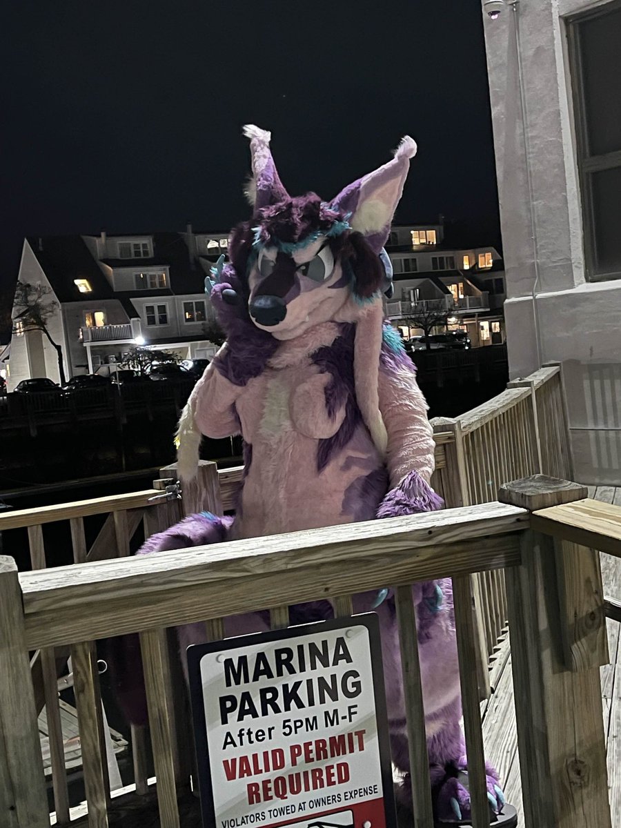 furscum's tweet photo. happy #FursuitFriday from Sibyl!! what better place to take her out for the first time than halloween in salem 😈

🧵@mackoolzie https://t.co/8P49PgWLl6