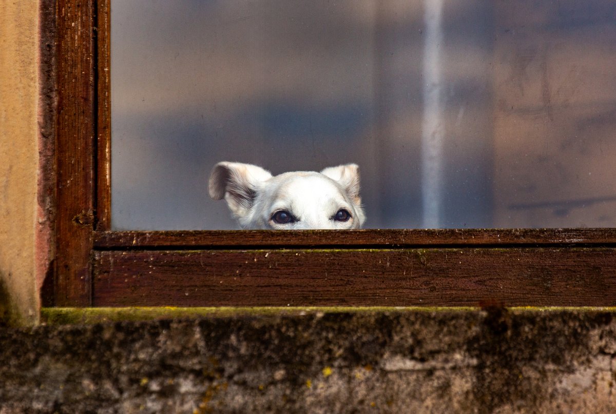 Have all the ghosts &amp; goblins gone ........ ?