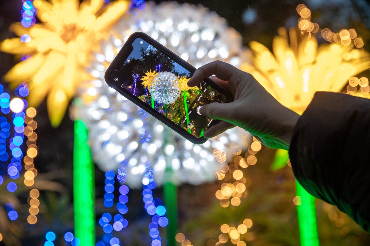 #WinterInDublin November checklist👇🏻

🌃 #DublinByNight Drury &amp; South William St from 6-10pm, 1st-2nd Nov
💫 Wonderlights, Malahide Castle
⛪️ Cathedral Night Tours, #StPatricksCathedral
🐯 Wild Lights, <a href="/DublinZoo/">Dublin Zoo</a>

Tap for more 🎊
bit.ly/4esgLgJ

📸ev.sche, kisai13[IG]