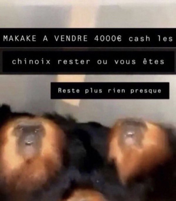 🔥THREAD🔥

Les plans snap les plus drôles