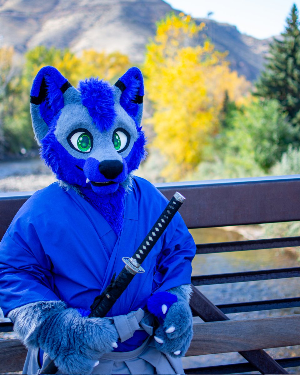 BurumunWolf's tweet photo. Photoshoot in Golden Co with Archie. I have so many but these came out beautiful.
📸 @yukonbarksalot https://t.co/WkToLcScab