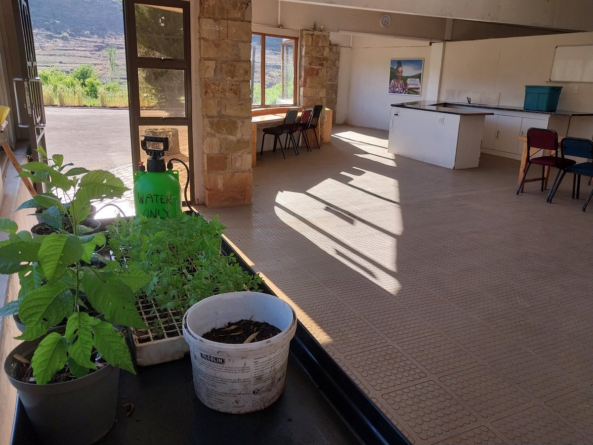 Ivanyles's tweet photo. Light and beauty. #Earthship #APatternLanguage https://t.co/GkYwAytVYN