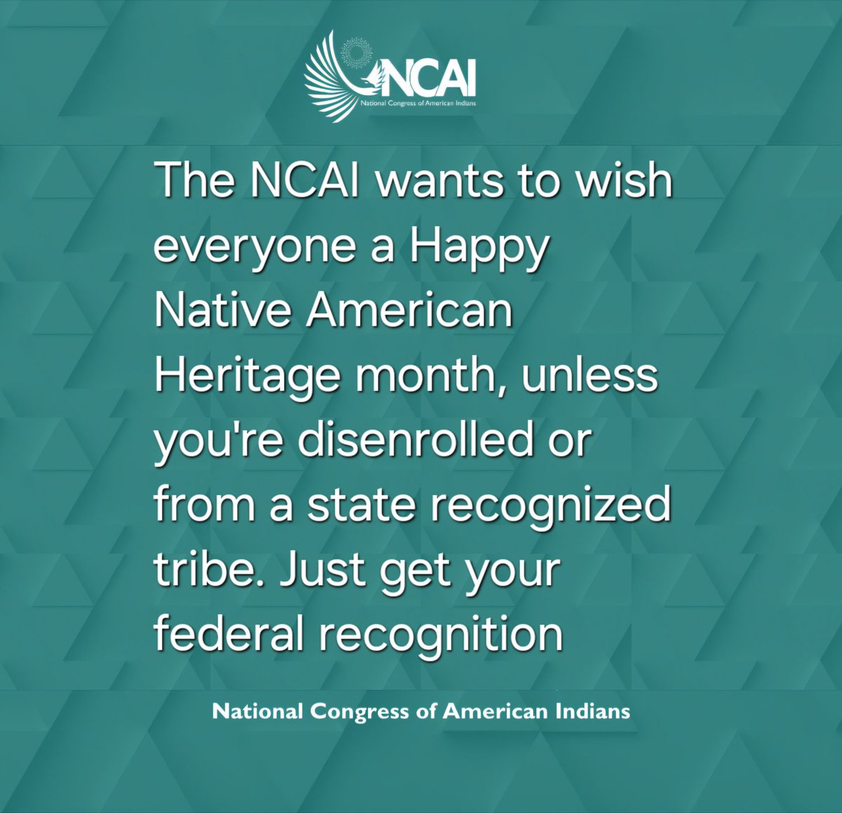 CForeman31's tweet photo. Happy #NativeAmericanHeritageMonth from the NCAI https://t.co/cbfT21p4OV