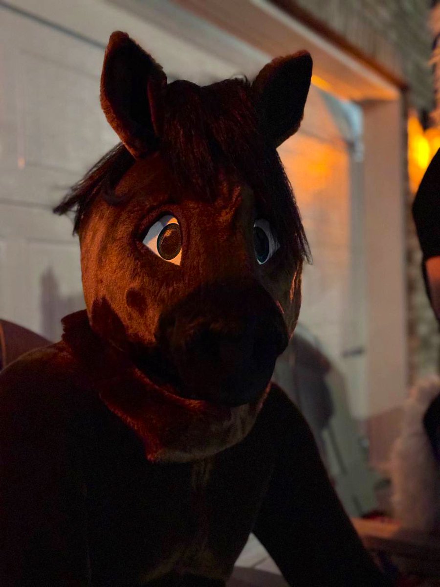 Had a great Halloween with the new roommates! Loved dressing up as a dark horse. #FursuitFriday