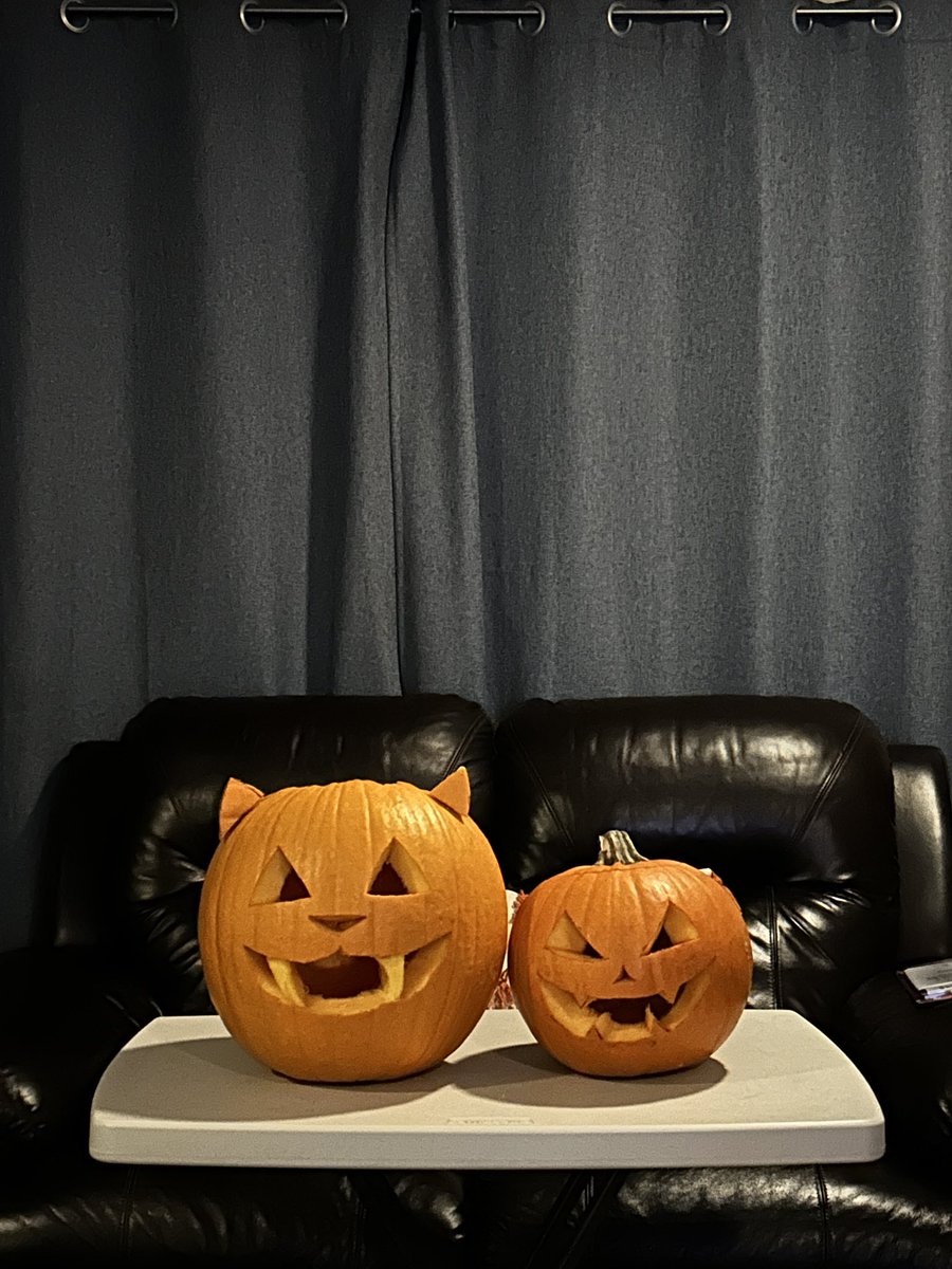 2dbert's tweet image. 