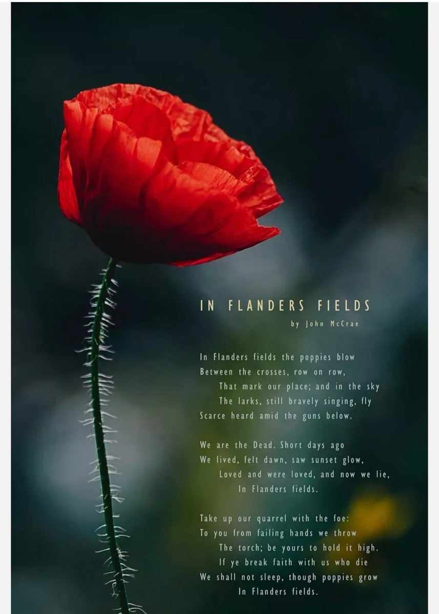 sunny_joni's tweet photo. #InFlandersField #JohnMcCrae ❤ https://t.co/L7YckWOWtC