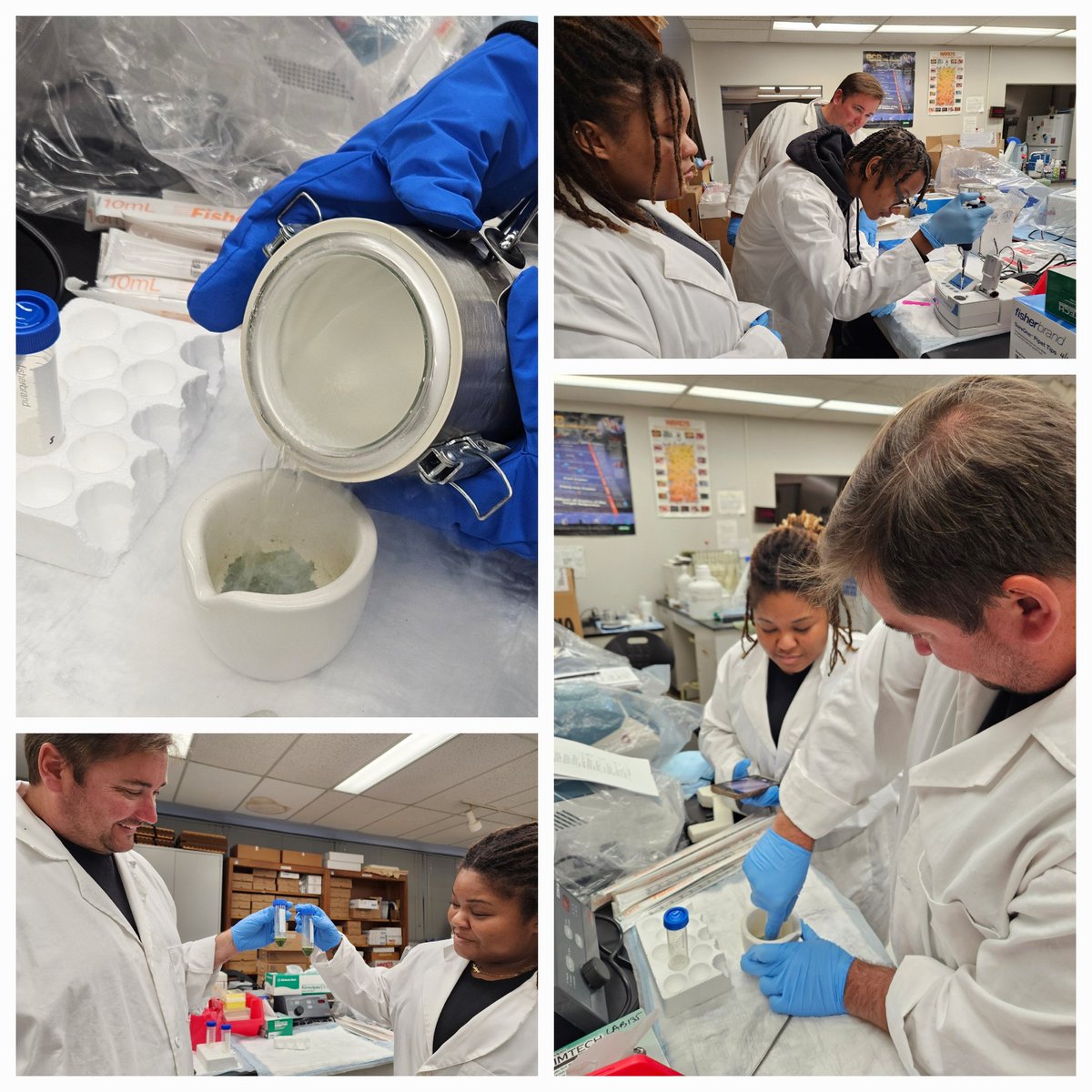 revealplant's tweet photo. This semester, undergrads in BIOL 499 are part of the American Campus Tree Genomes project of @aeharkess #ECSU.  We are sequencing an oak 🌰 tree near the library.  Just sent off the HMW DNA 🧬to be sequenced 🤞🤞.  Students will then learn to annotate.  #ECSUVikingsScience #hbcu https://t.co/GogqEu3AWN