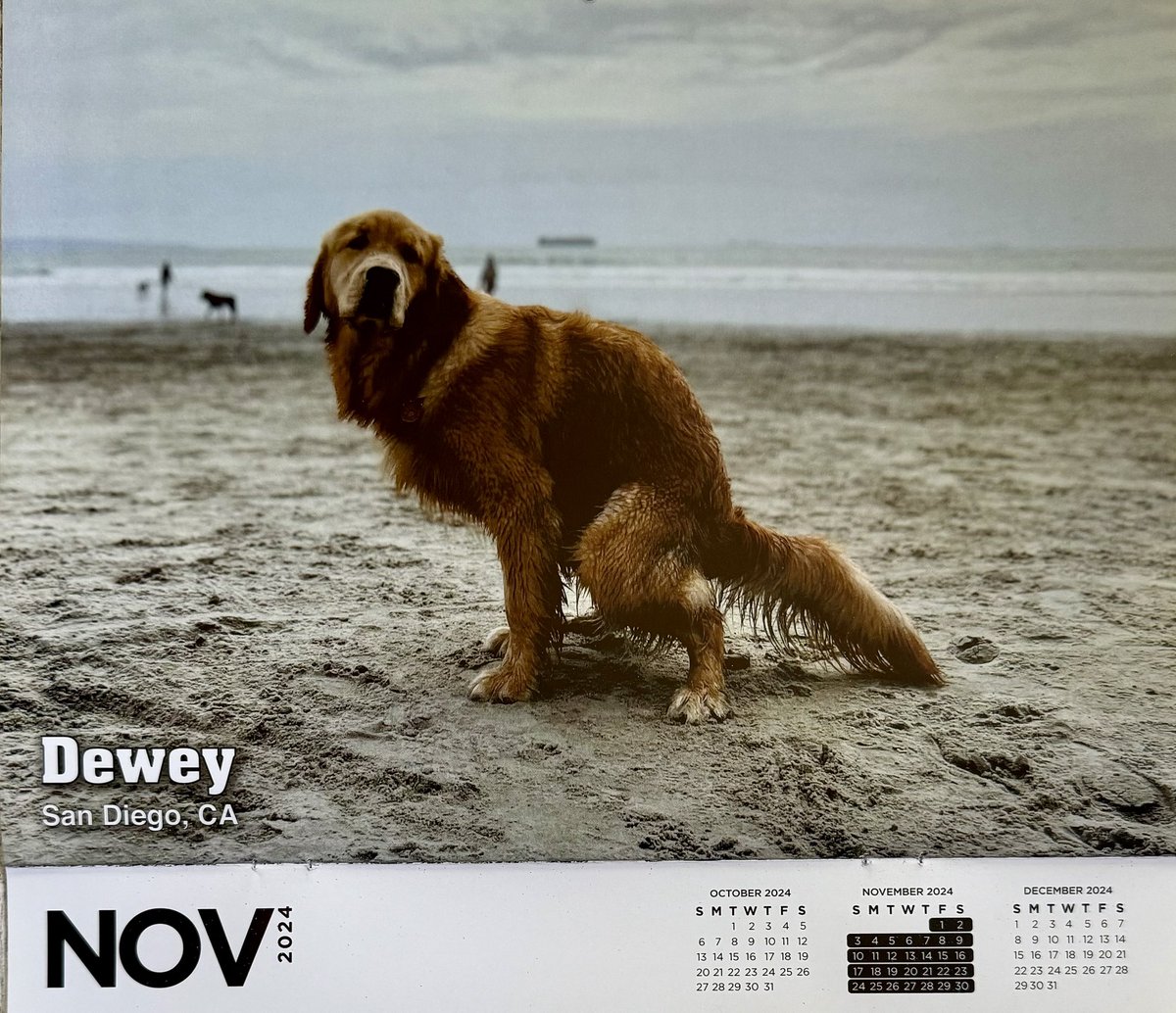 Wojtek Kubarek tweet media