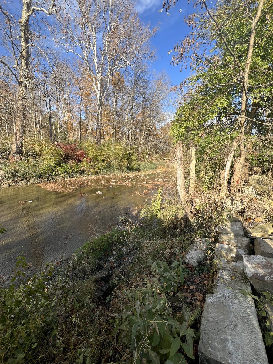 sparklebottom21's tweet photo. i love fall 🍂🍁 https://t.co/EkzKAkxCJN