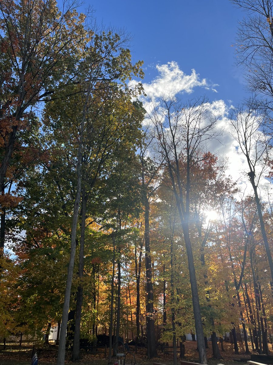 sparklebottom21's tweet photo. i love fall 🍂🍁 https://t.co/EkzKAkxCJN