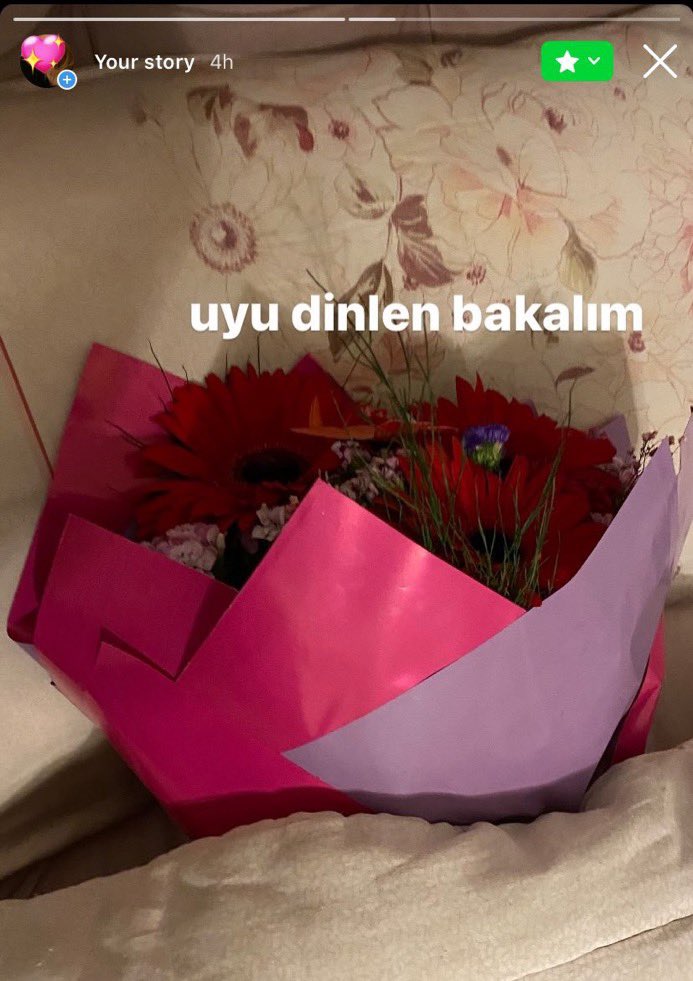 x: kadinlar ciceklere onem vermez 

biz: