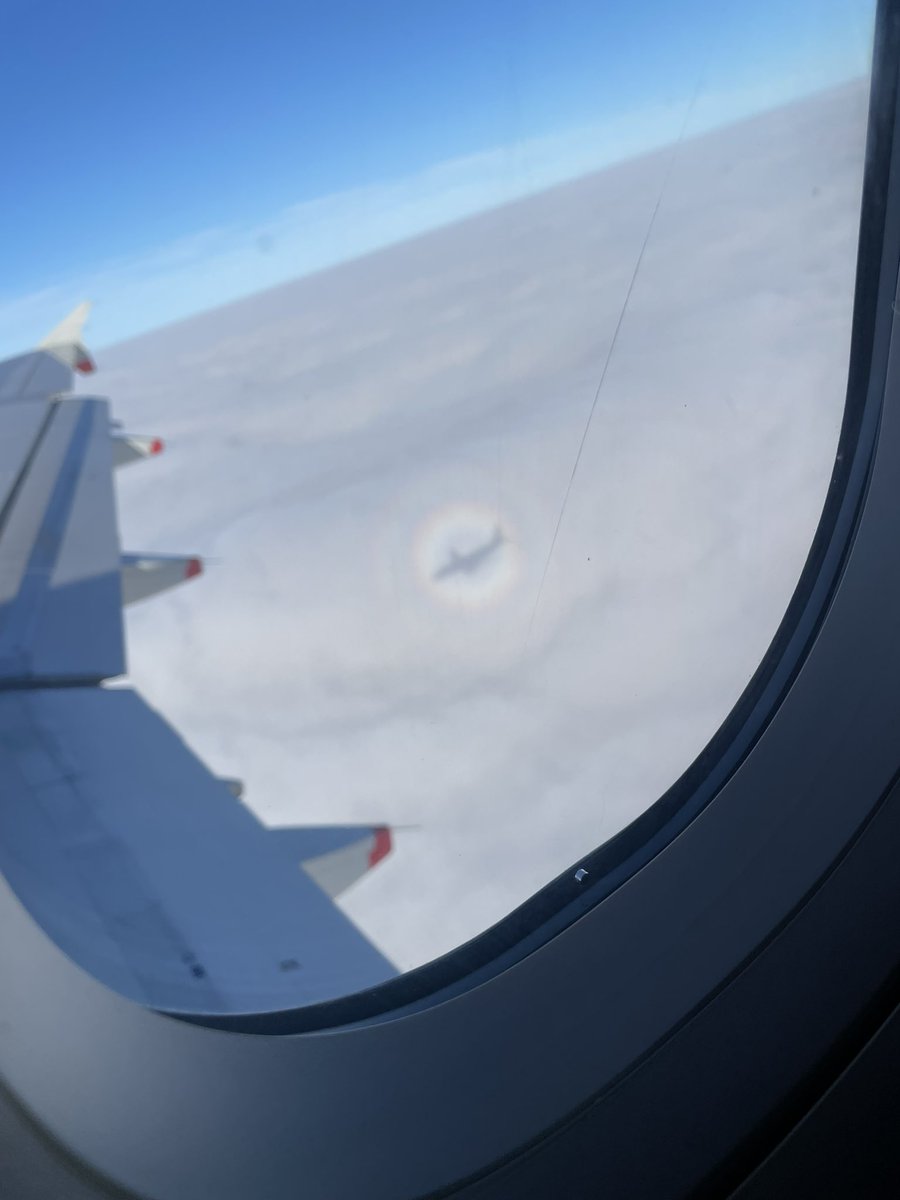 Niall Paterson tweet media