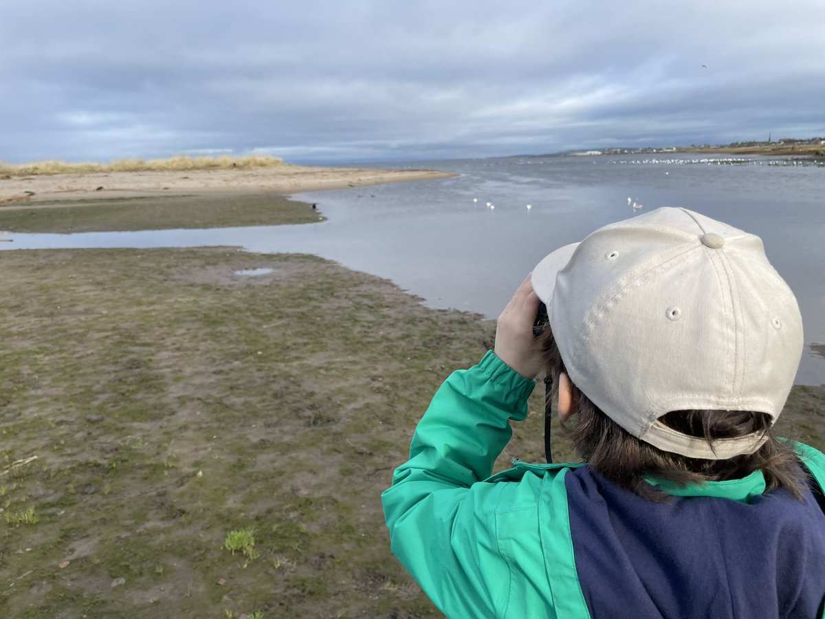 Niall Paterson tweet media