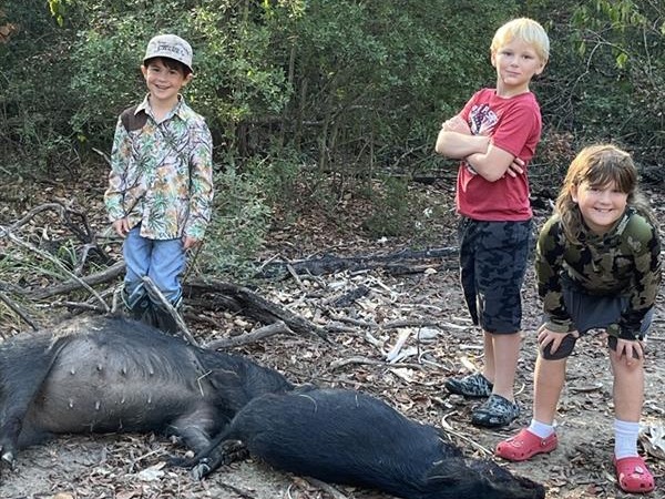 Sellmark Corporation tweet media