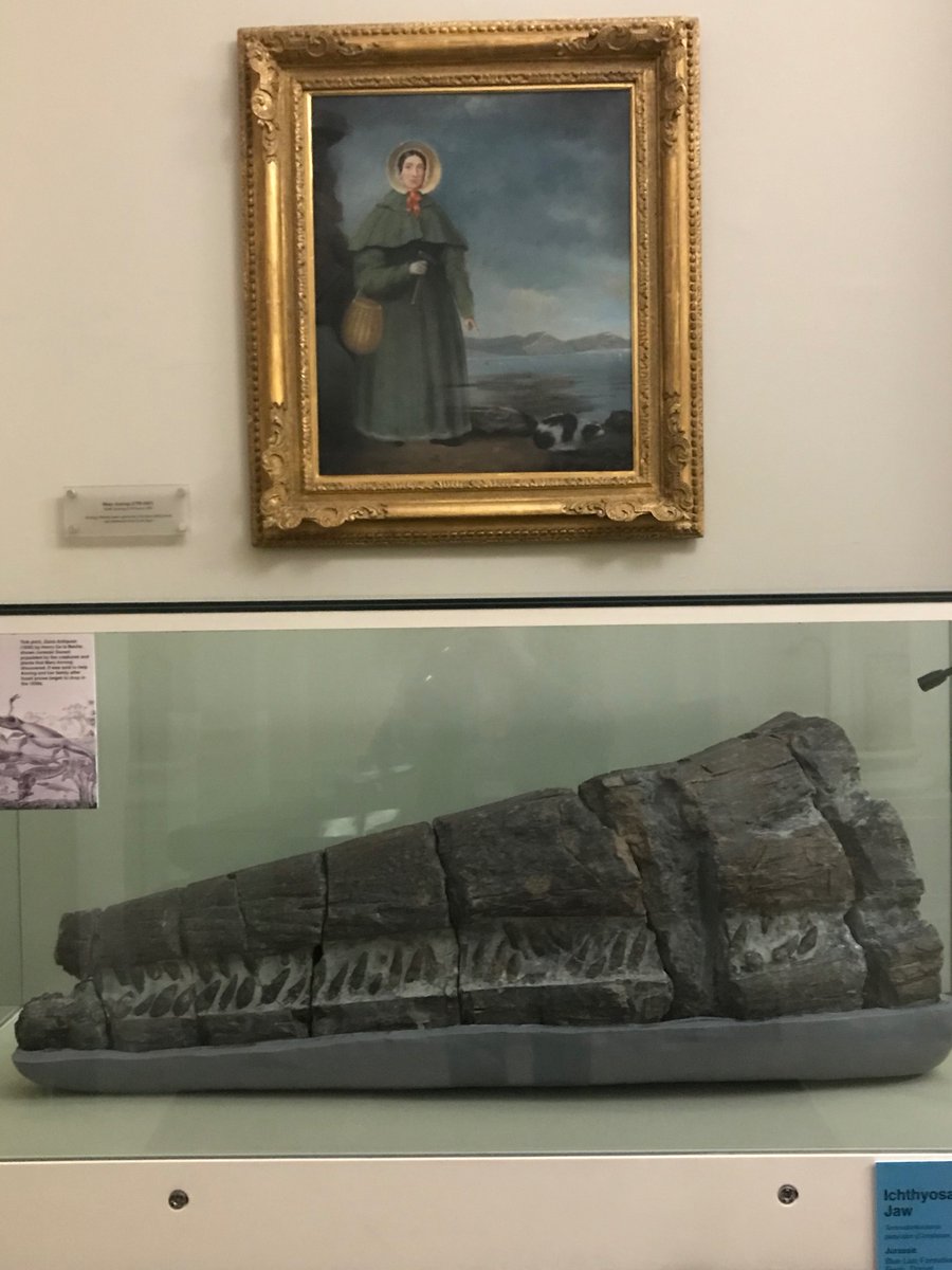 Tom Sharpe (@tomsharperocks) on Twitter photo Great day of #MaryAnning-related research in the wonderful archives of <a href="/GeolSoc/">The Geological Society</a> today, home to one of the famous portraits, and one of her #ichthyosaurs found c.1827. Many thanks to the Society's archivist for all her help today. #FossilFriday Great day of #MaryAnning-related research in the wonderful archives of <a href="/GeolSoc/">The Geological Society</a> today, home to one of the famous portraits, and one of her #ichthyosaurs found c.1827. Many thanks to the Society's archivist for all her help today. #FossilFriday