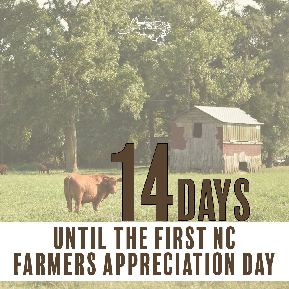 TYNCFarmers's tweet photo. It's the first day of November! That means we're in the final countdown until the first NC Farmers Appreciation Day!
We are so excited for our state's farmers to have a designated day to be recognized and celebrated.
#ncfarmersappreciationday #frommountainstosea #NCAgriculture https://t.co/To2SQZX2jZ