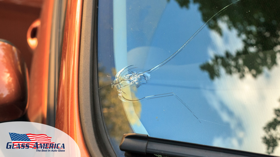 Glass America tweet media