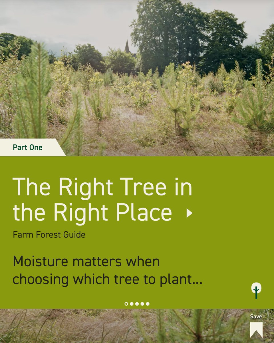 FarmForest tweet media