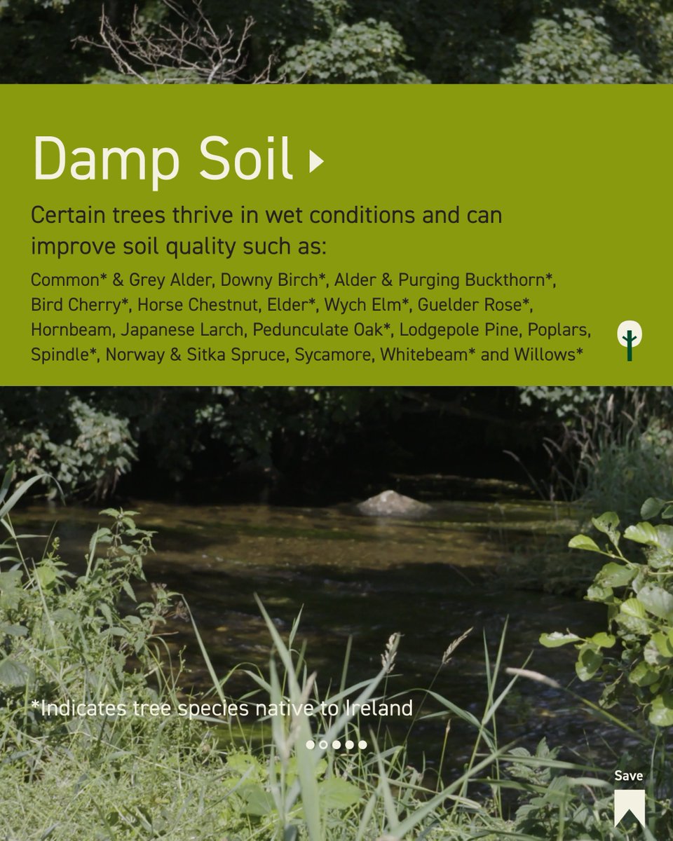 FarmForest tweet media