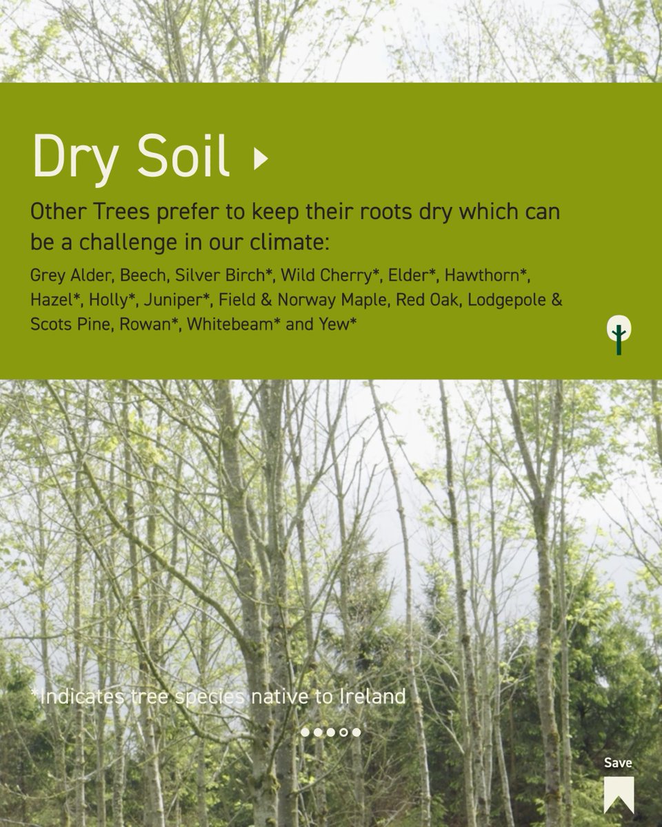 FarmForest tweet media