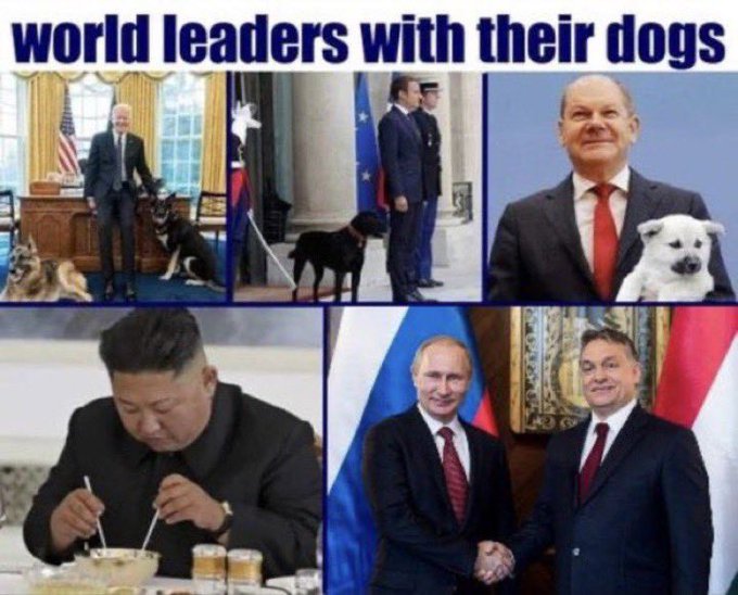 GbUX3G7XUAAn_Ln?format=jpg&name=small