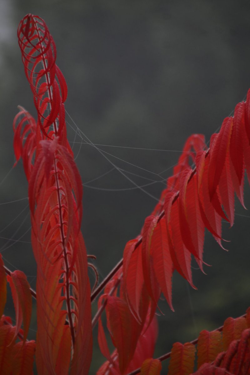 Ich wünsche Euch einen schönen gemütlichen Abend und für später eine erholsame Nacht. Bis dahin 🙋‍♂️😴