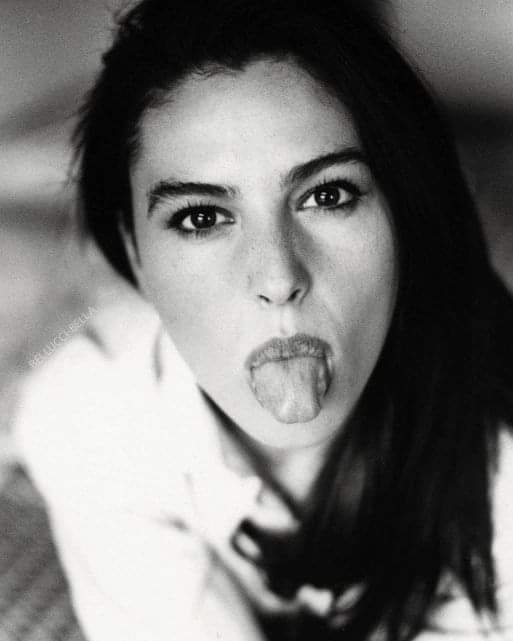 Tierno Animal tweet media