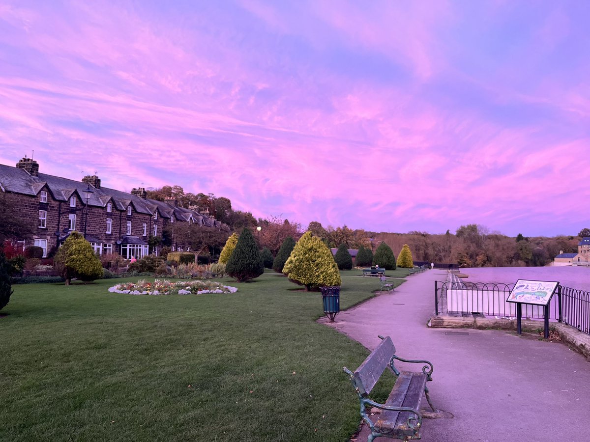 Mark Davis tweet media