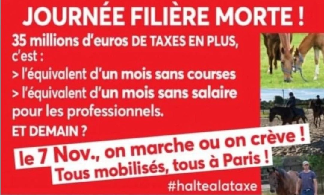 associationpp (@associationpp1) on Twitter photo 