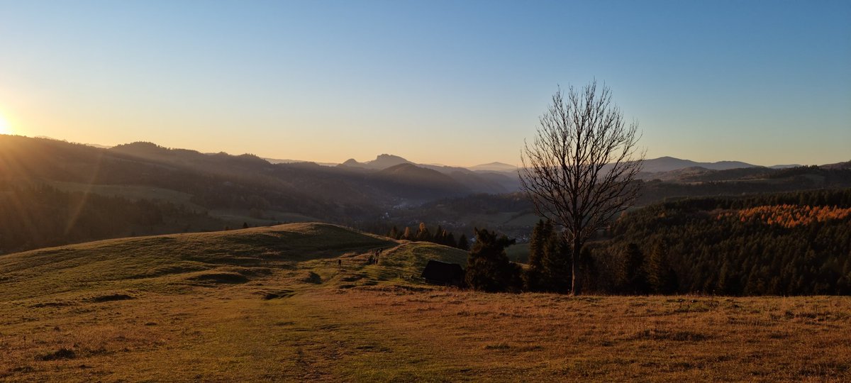 bazgrolki's tweet photo. Pieniny🤎 https://t.co/X6VO6ncJtI