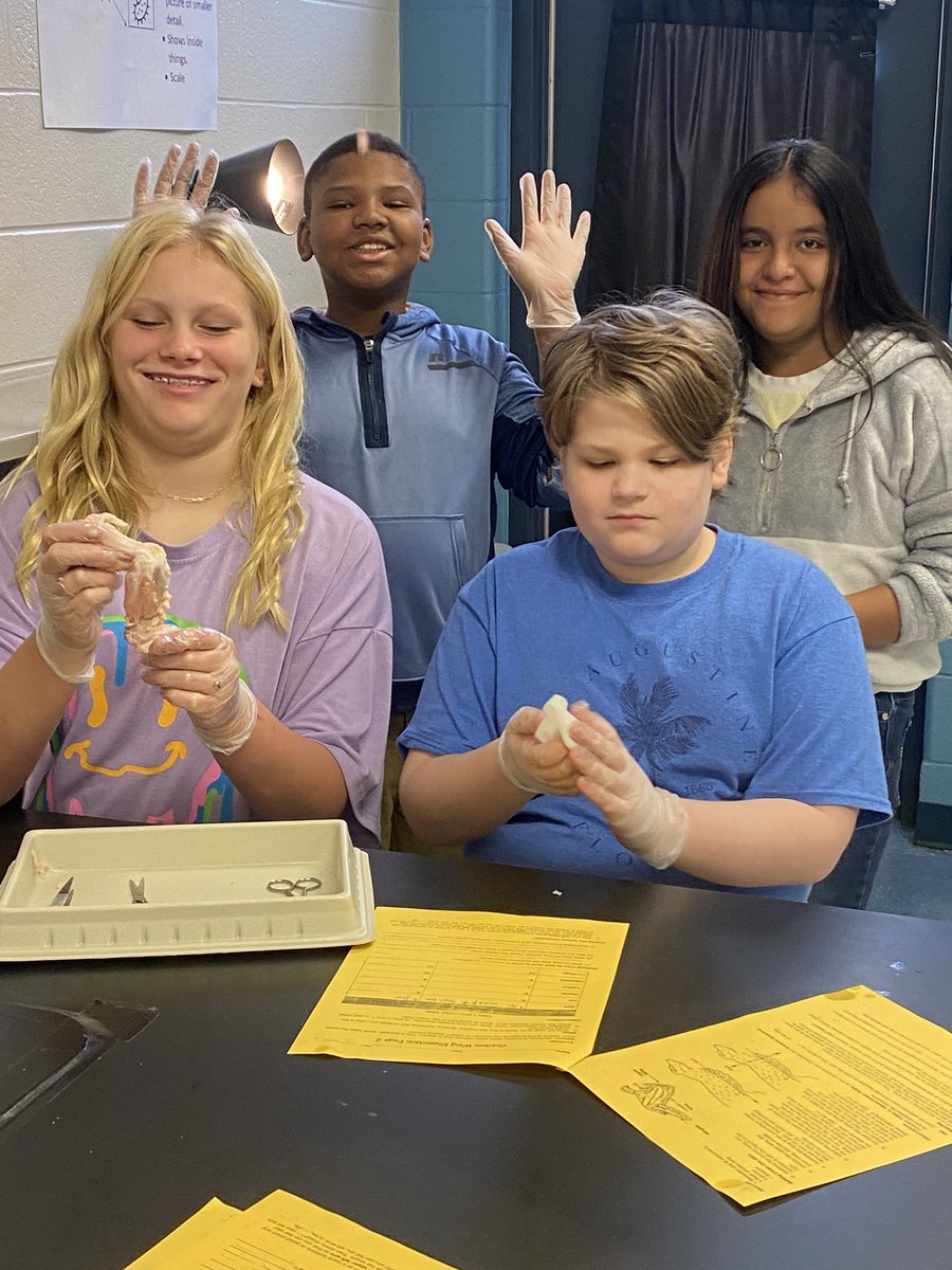 More Chicken Lab fun.