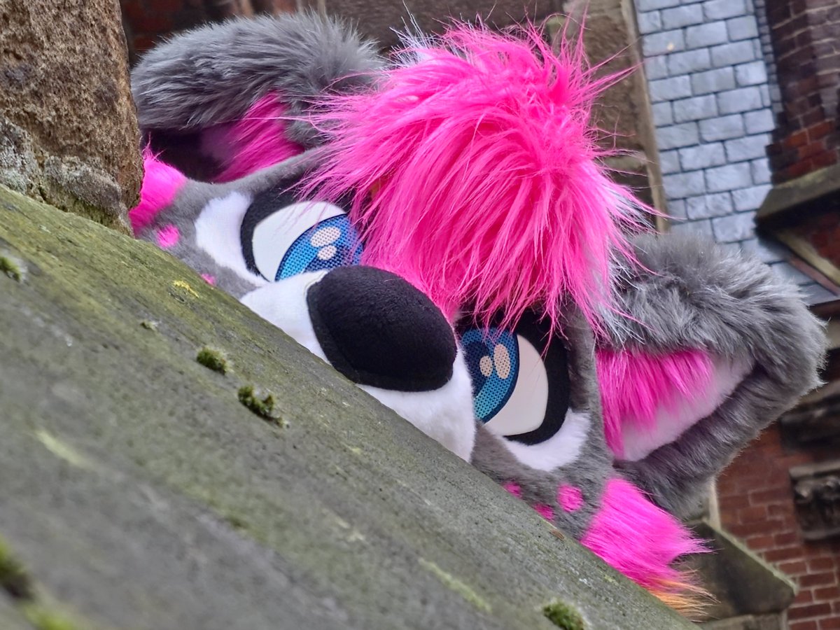 Watcha doing?

📷: <a href="/fluffyfox09/">Fluffyfox09</a>
📍: Oldenburg city center

#FursuitFriday #Fursuit #Furry