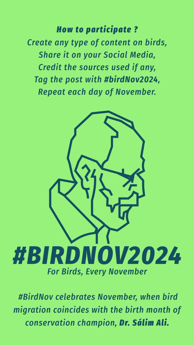 jayceekk's tweet photo. #Birdnov #Birdnov2024
Day 1 https://t.co/b1dv1DssBC