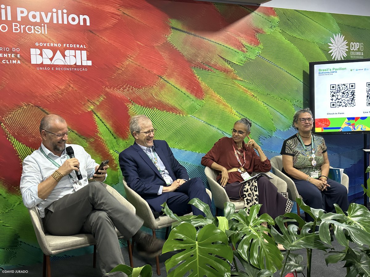 WCS (@thewcs) on Twitter photo NEWS from #COP16Colombia: WCS Brazil and the Ministry of Environment and Climate Change have launched Protocol of Intent to strengthen biodiversity conservation in Brazil.
➡️ bit.ly/3Uzm8Ud NEWS from #COP16Colombia: WCS Brazil and the Ministry of Environment and Climate Change have launched Protocol of Intent to strengthen biodiversity conservation in Brazil.
➡️ bit.ly/3Uzm8Ud