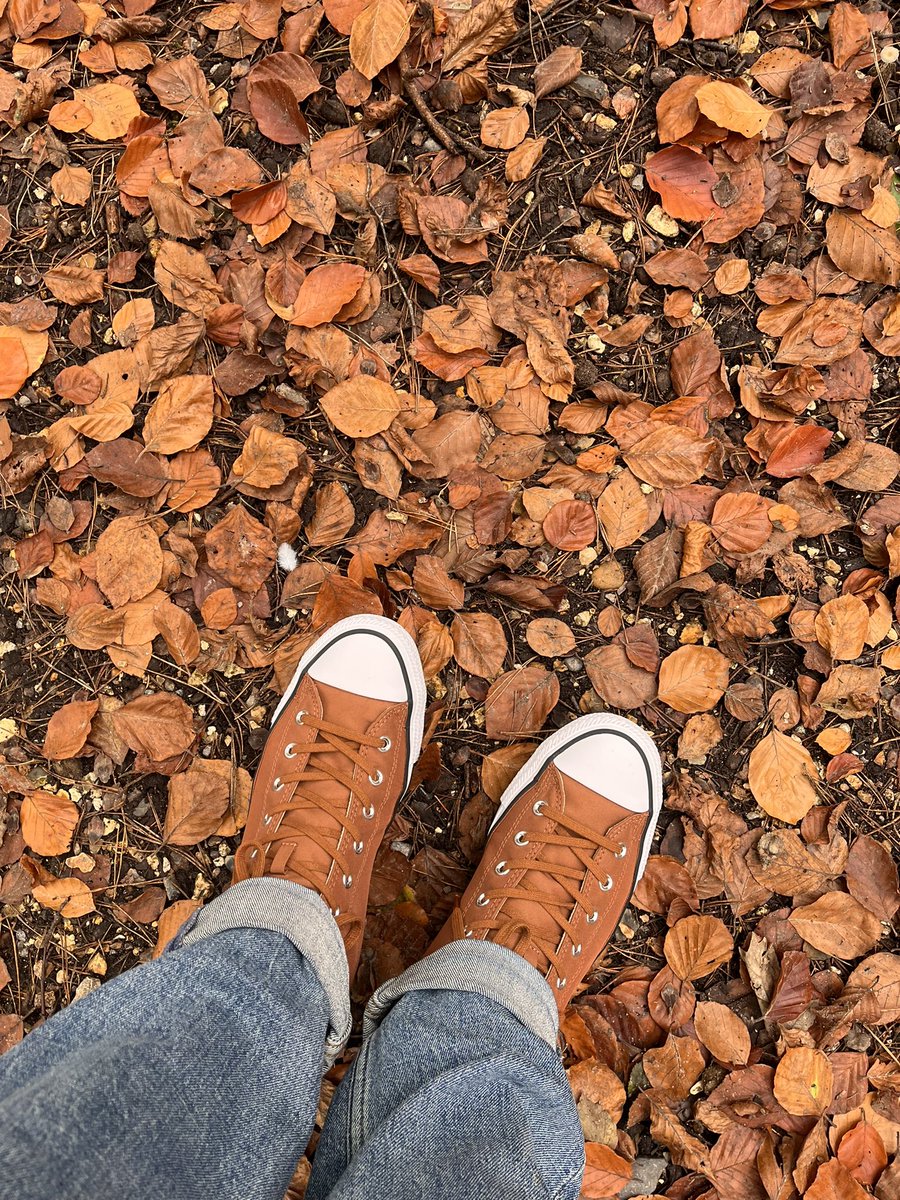 Shaun Cuff tweet media