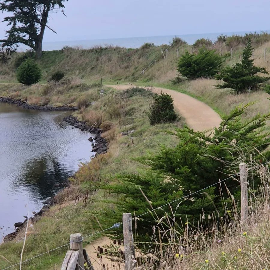 PascalBudor's tweet image. Noirmoutier 🙏Vendée ♥️