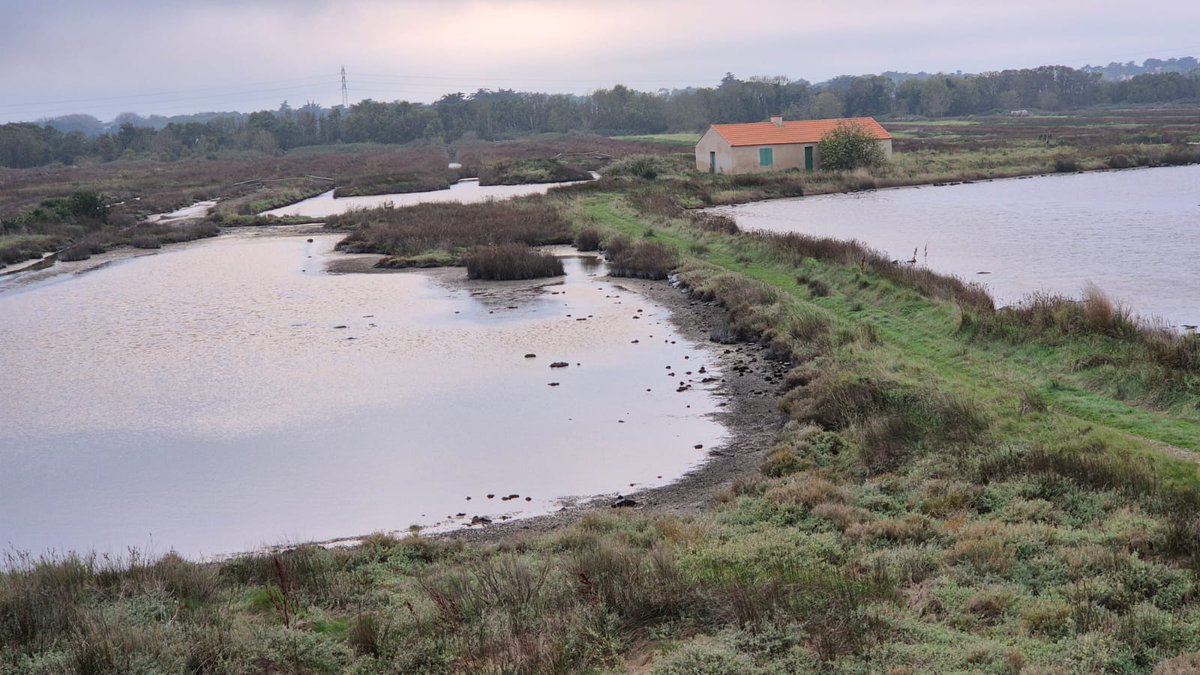 PascalBudor's tweet image. Noirmoutier 🙏Vendée ♥️