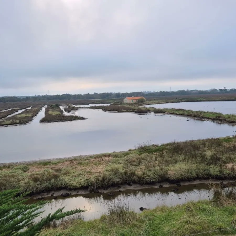 PascalBudor's tweet image. Noirmoutier 🙏Vendée ♥️