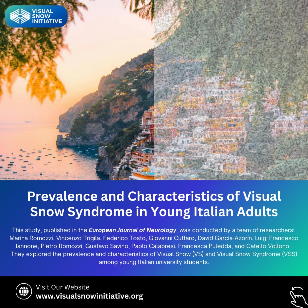 Visual Snow Initiative tweet media