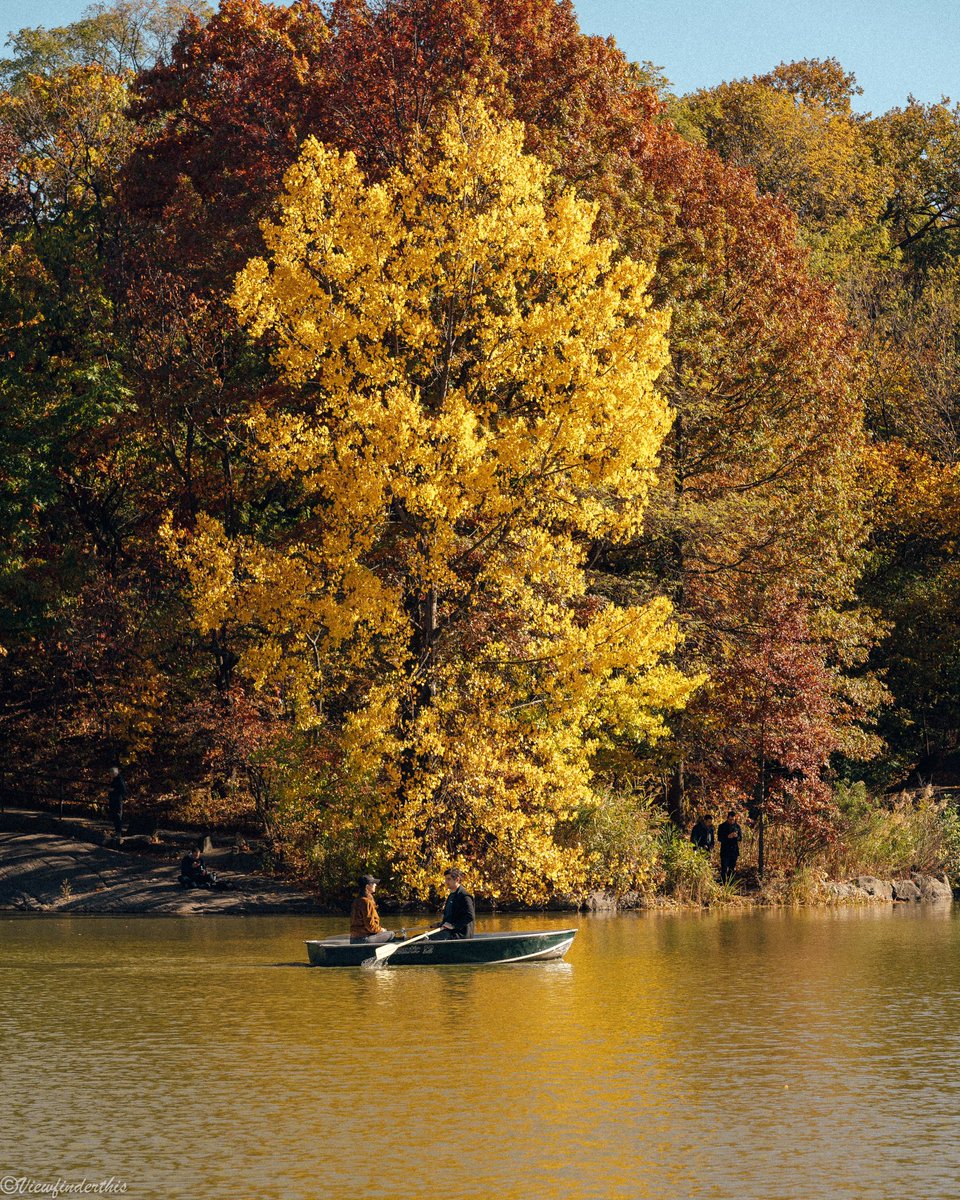 viewfinderthis's tweet image. Autumn in Central Park
