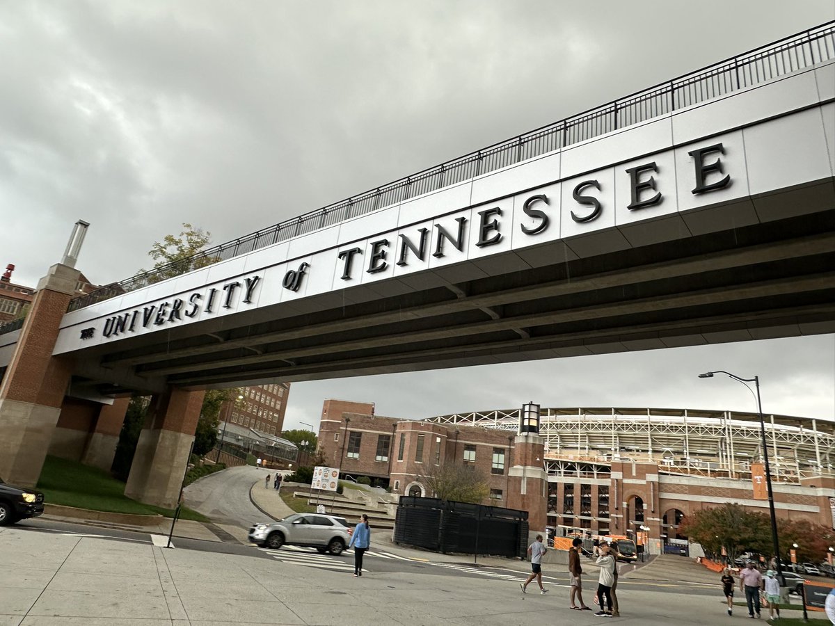 Alex Fox tweet media