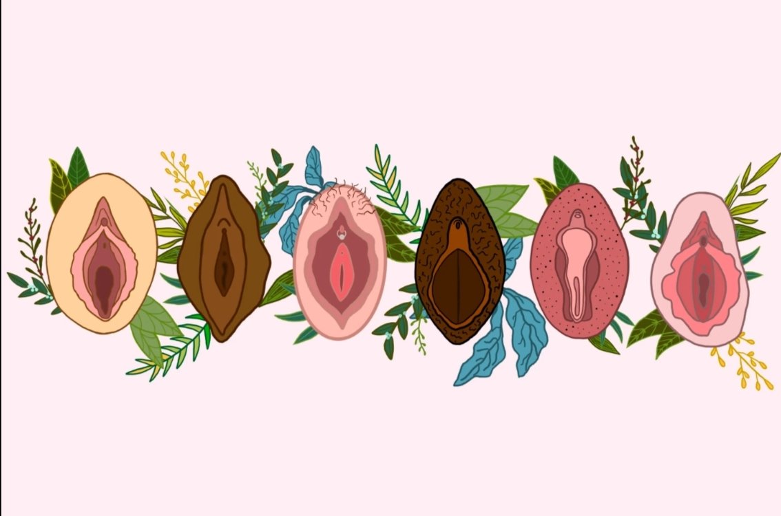 pomonacisco's tweet photo. @2ndaryProtocol Flowers https://t.co/ywen6JdQyR