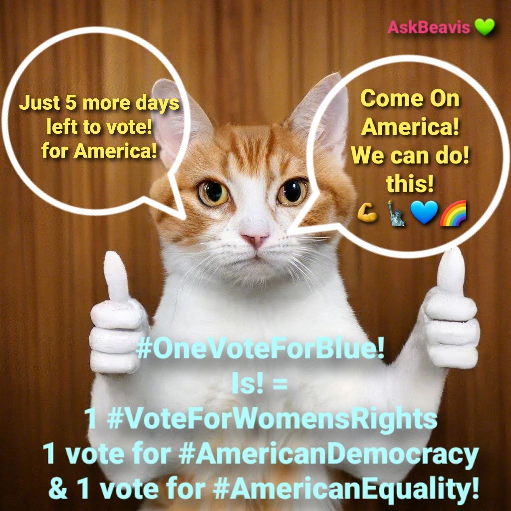 BeavisAsk's tweet photo. @MoDemParty 1 #VoteForBlue =
1 vote for #WomensRights!
1 vote for #AmericanDemocracy!
1 vote for #Equality!
1 vote for #TheAmericanRepublic!
1 vote for #TheAmericanConstitution!
1 vote for #GunReformsControls!
1 vote against #Racism!
1 vote against #Hate!
1 vote to help #SaveChildrensLives! https://t.co/PBbpk8ryxT