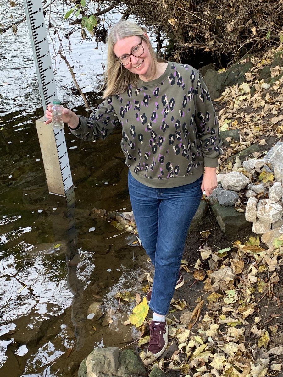 Plastic free NW Leeds 🐟🌎🐝🇪🇺 tweet media