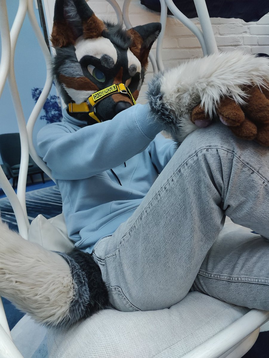 Astralis tweet media