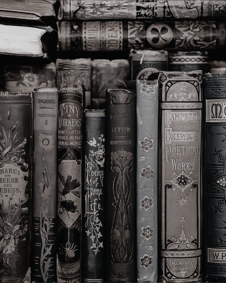 * 𝐒𝐎𝐏𝐇𝐈𝐄 𝐁𝐀𝐄𝐊 ! (@inabsentiaiucis) on Twitter photo 