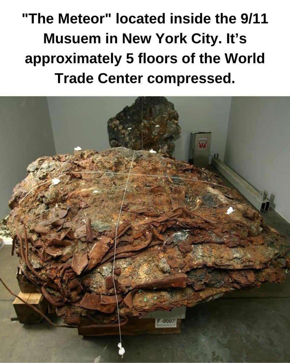 The forbidden lasagna