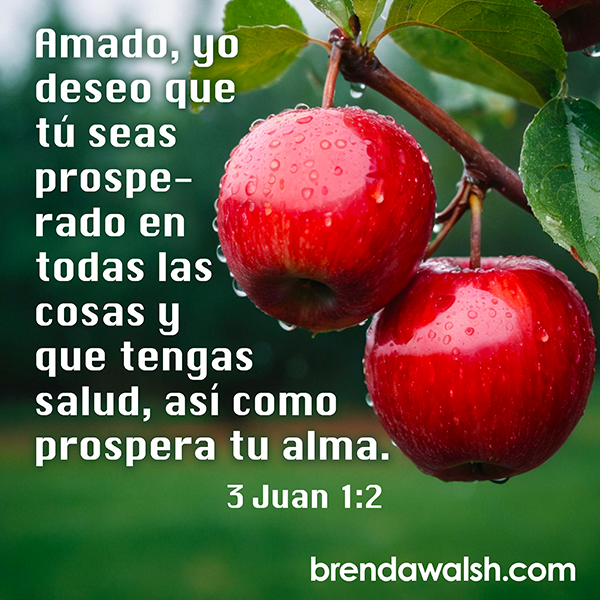 brendakwalsh's tweet photo. Today's Daily Scripture Pic: 3 Juan 1:2
“Amado, yo deseo que tú seas prosperado en todas las cosas y que tengas salud, así como prospera tu alma.”

#versiculobiblia #escritura #santaescritura https://t.co/56bwZIfWfT