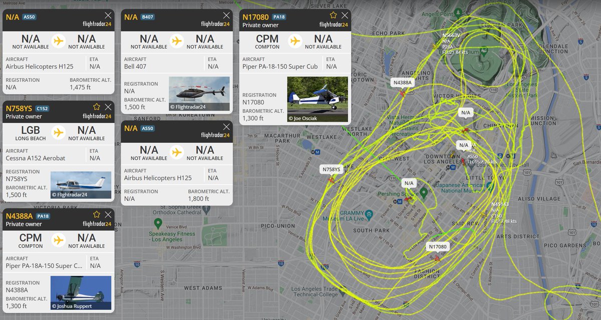 BostonPilot tweet media