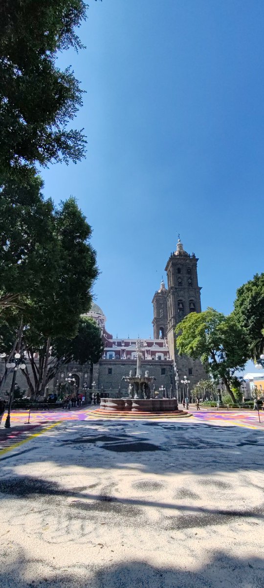 Buenas tardes ✨

#Puebla #DiaDeMuertos #LaMuerteEsUnSueño